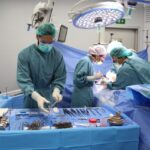 Deu transplantaments en 24 hores: nou rècord a l’Hospital Vall d’Hebron Deu transplantaments en 24 hores: nou rècord a l’Hospital Vall d’Hebron