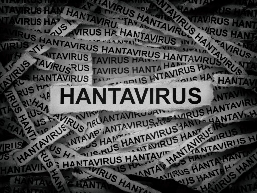 hantavirus